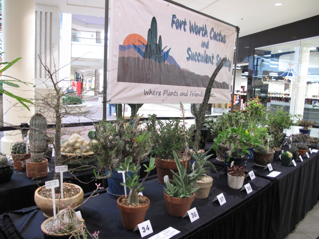 Annual Plant Shows